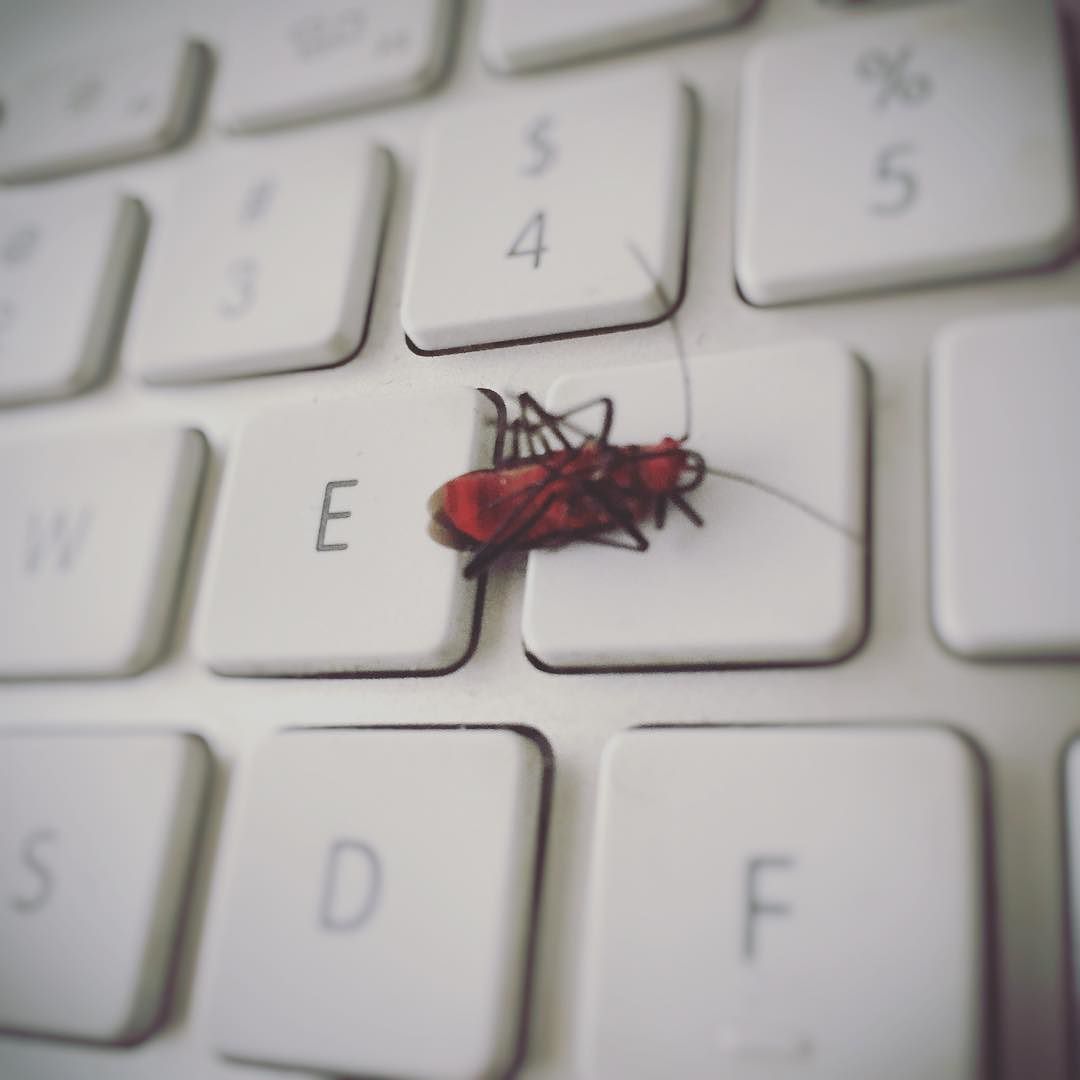 bug_laptop_software_quality_assurance